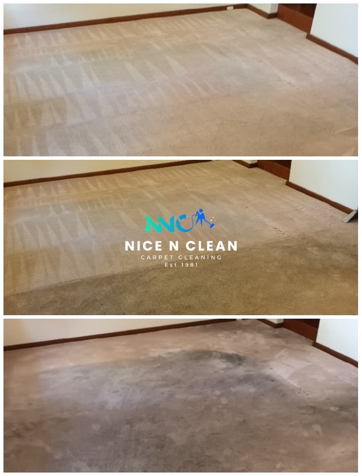 Nice N Clean Carpet, Tile and Grout Cleaning carpet cleaning work in Coolbellup