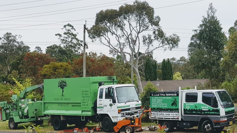 Nicols Trees tree services work in Hazelbrook