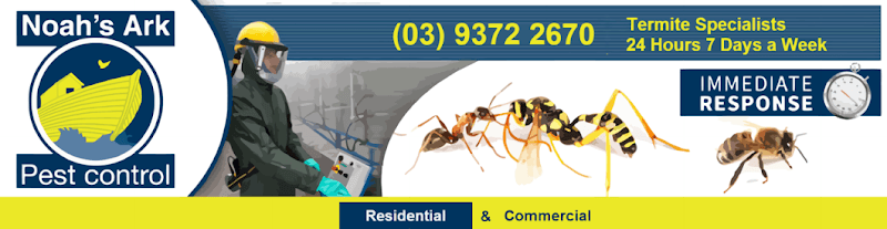 Noah's Ark Pest Control - Termite Treatment and Inspection Services - Melbourne pest control work in Kensington