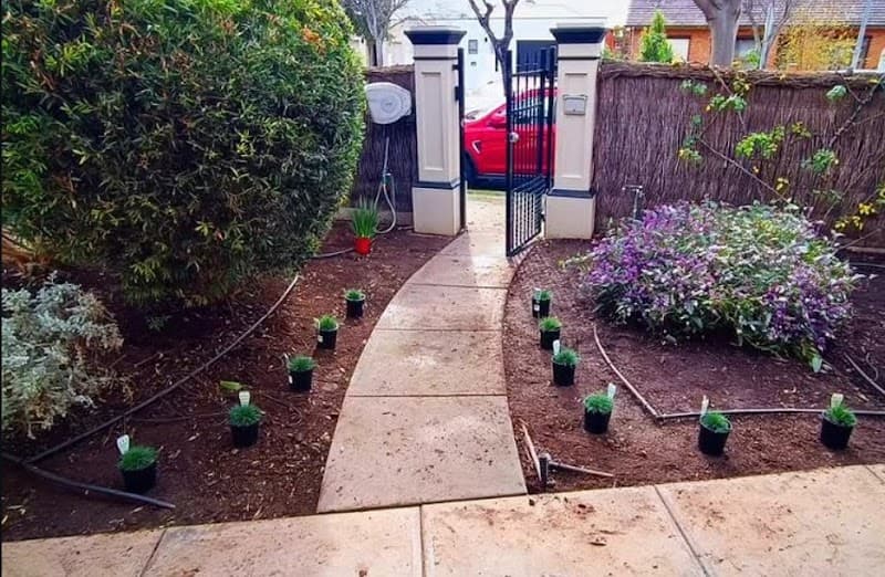 Nomadic Home & Garden gardening work in Stepney