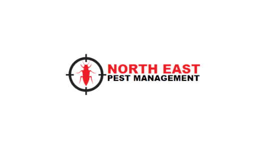 North East Pest Management pest control work in Launceston