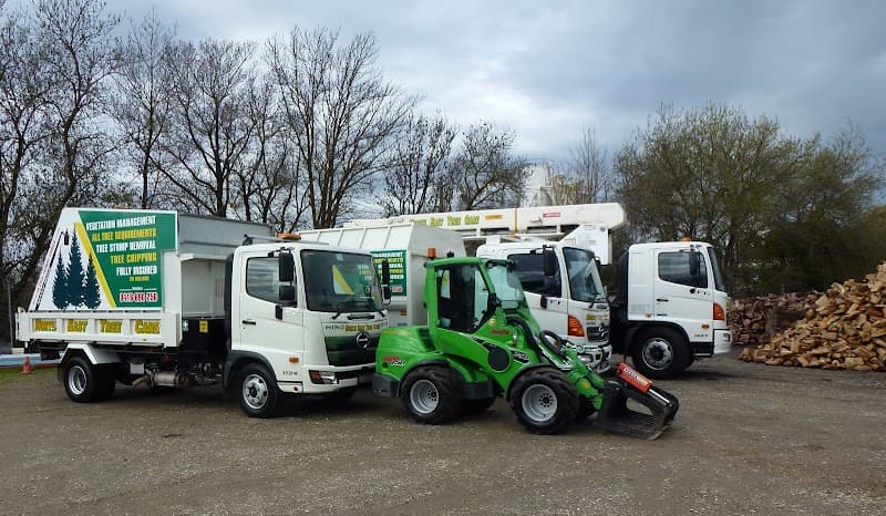 North East Tree Care tree services work in Lavington