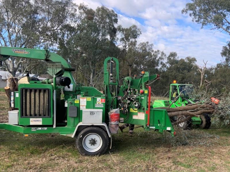North East Tree Care tree services work in Lavington
