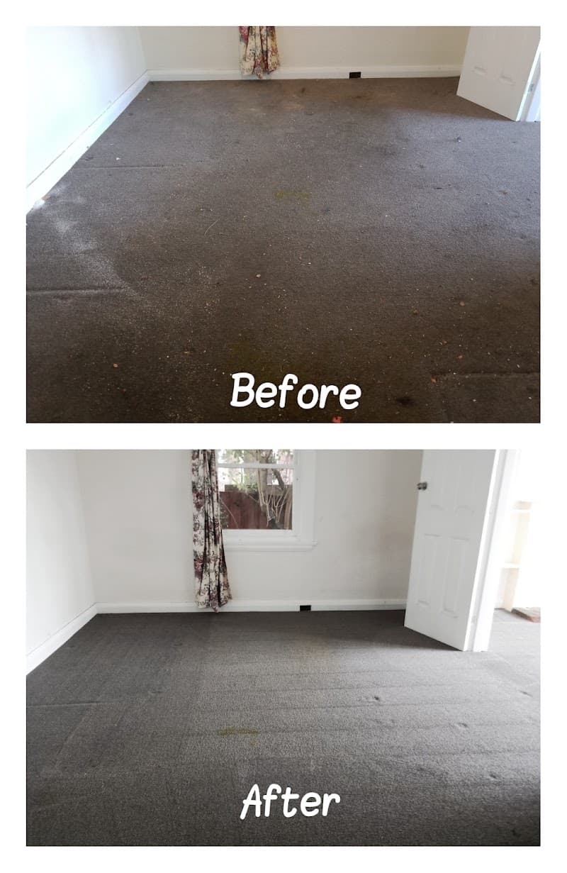 North Geelong Cleaning pressure washing work in Bell Park