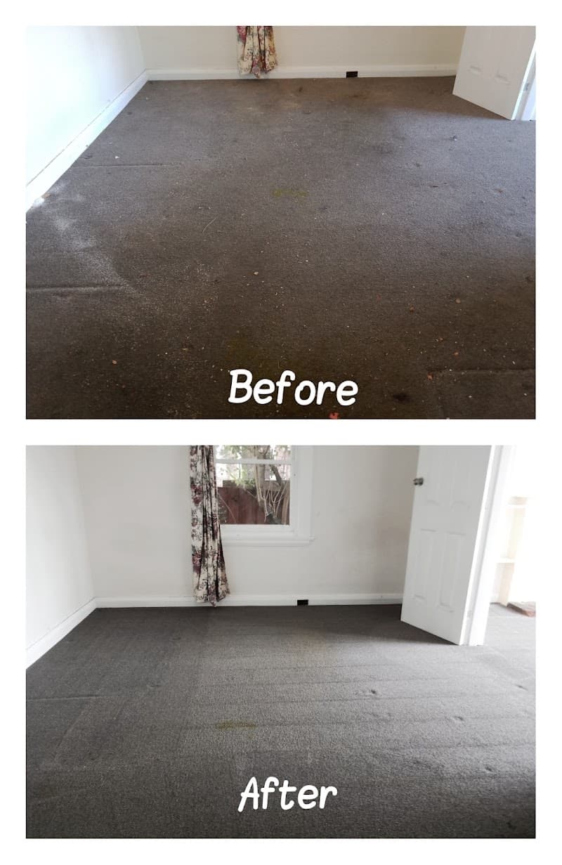 North Geelong Cleaning pressure washing work in Bell Park
