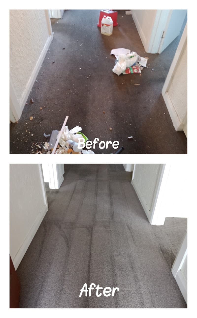 North Geelong Cleaning pressure washing work in Bell Park