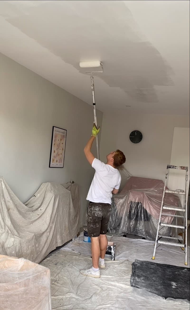 North Sydney Painting painter work in Neutral Bay