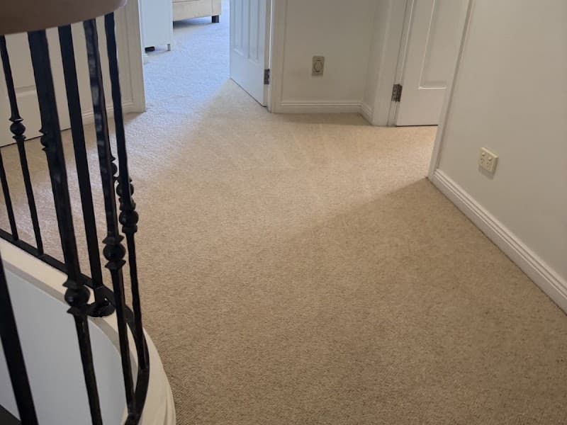 Northern Beaches Carpet Cleaning carpet cleaning work in Warriewood