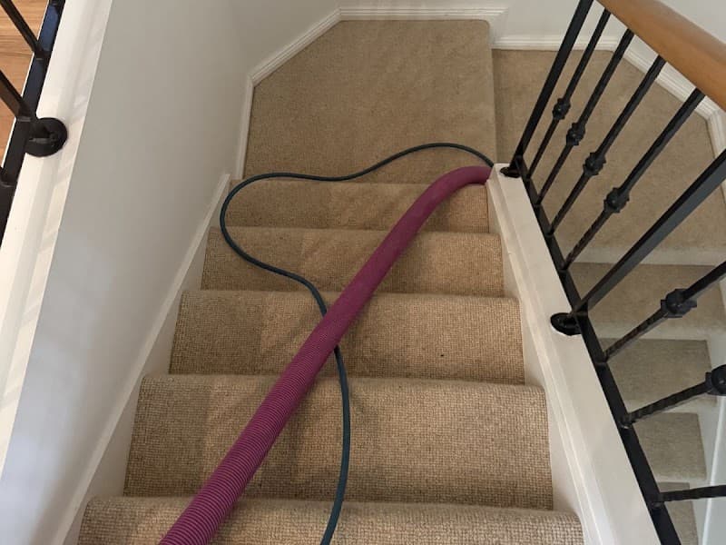 Northern Beaches Carpet Cleaning carpet cleaning work in Warriewood