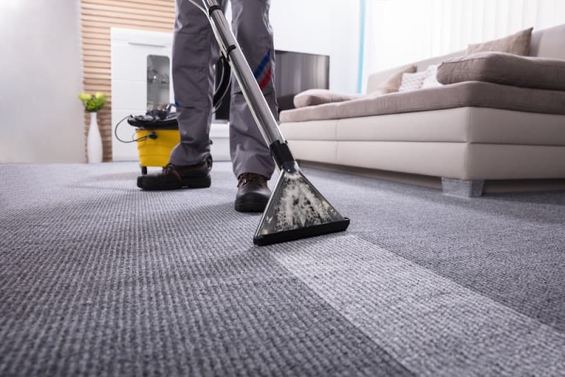 Northern Beaches Carpet Cleaning carpet cleaning work in Warriewood