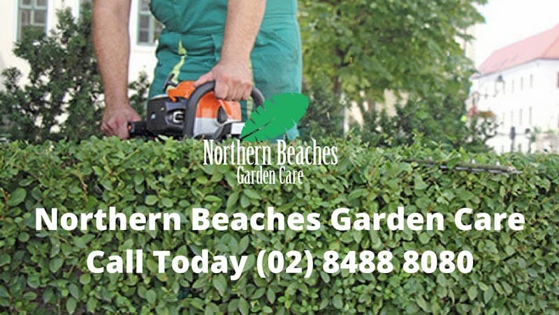 Northern Beaches Garden Care gardening work in Neutral Bay