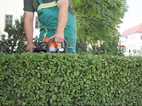 Northern Beaches Garden Care gardening work in Neutral Bay