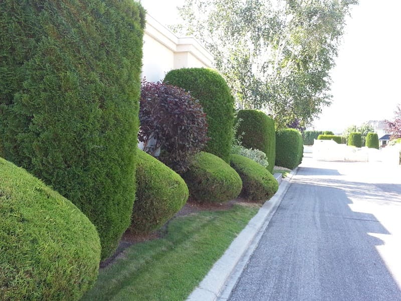 Northern Beaches Gardeners gardening work in Mona Vale