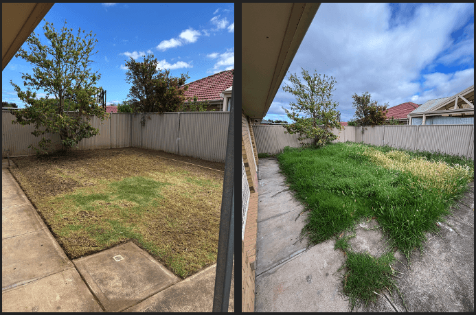 Northern Outdoor Contractors lawn care work in Clearview