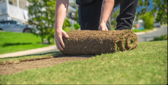 Northern Outdoor Contractors lawn care work in Clearview