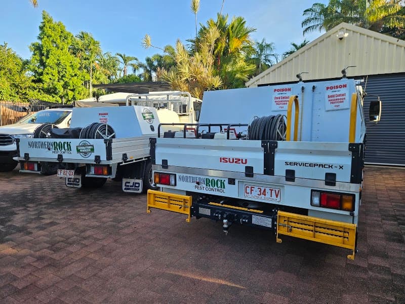 Northern Rock Pest Control pest control work in Pinelands