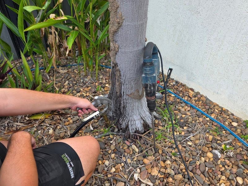 Northern Rock Pest Control pest control work in Pinelands