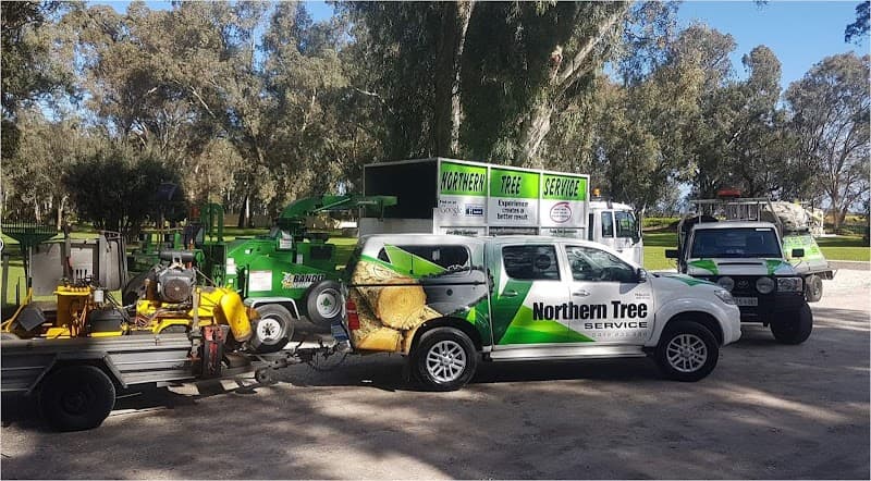 Northern Tree Services🌳🌴🌲 tree services work in Angle Vale