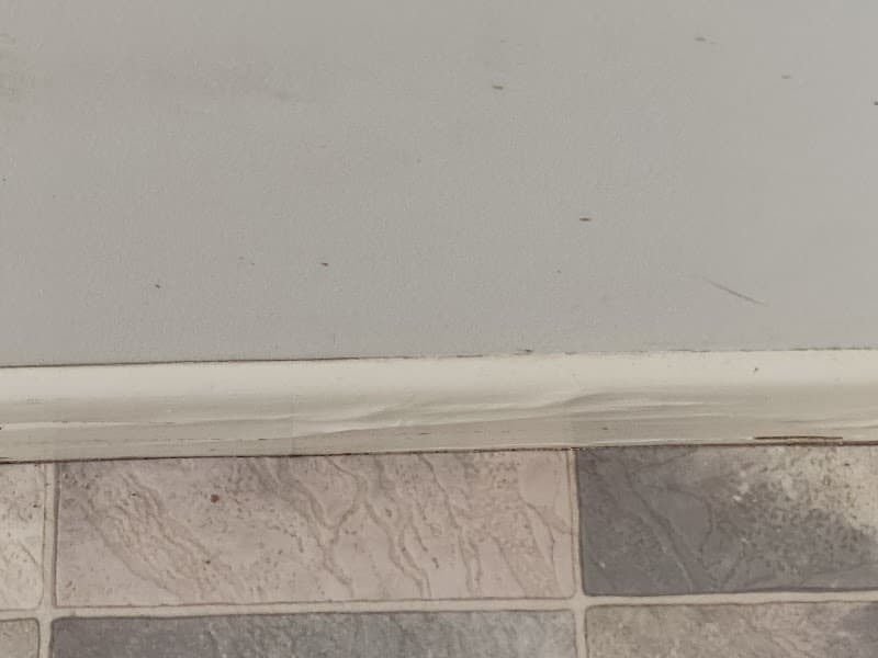 Northside Pest Control pest control work in Deception Bay