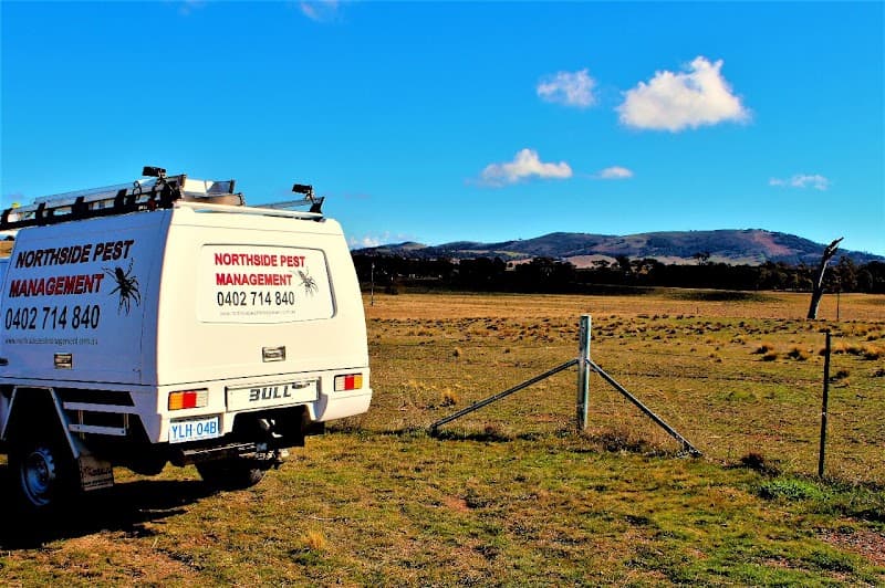 Northside pest management ACT pest control work in Ngunnawal