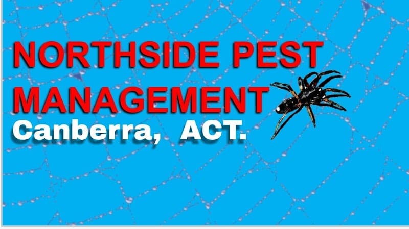 Northside pest management ACT pest control work in Ngunnawal