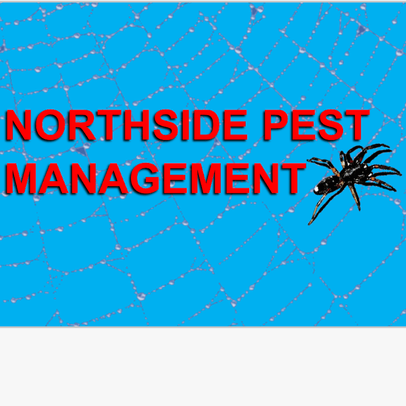 Northside pest management ACT pest control work in Ngunnawal