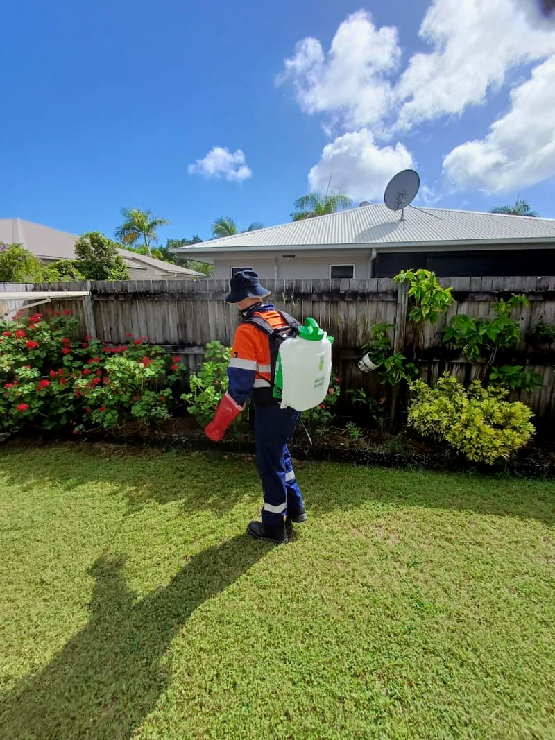 NoTrace Pest Control pest control work in Urangan