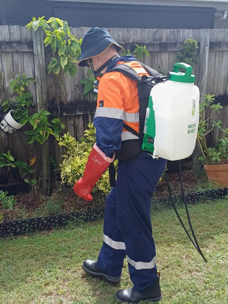 NoTrace Pest Control pest control work in Urangan