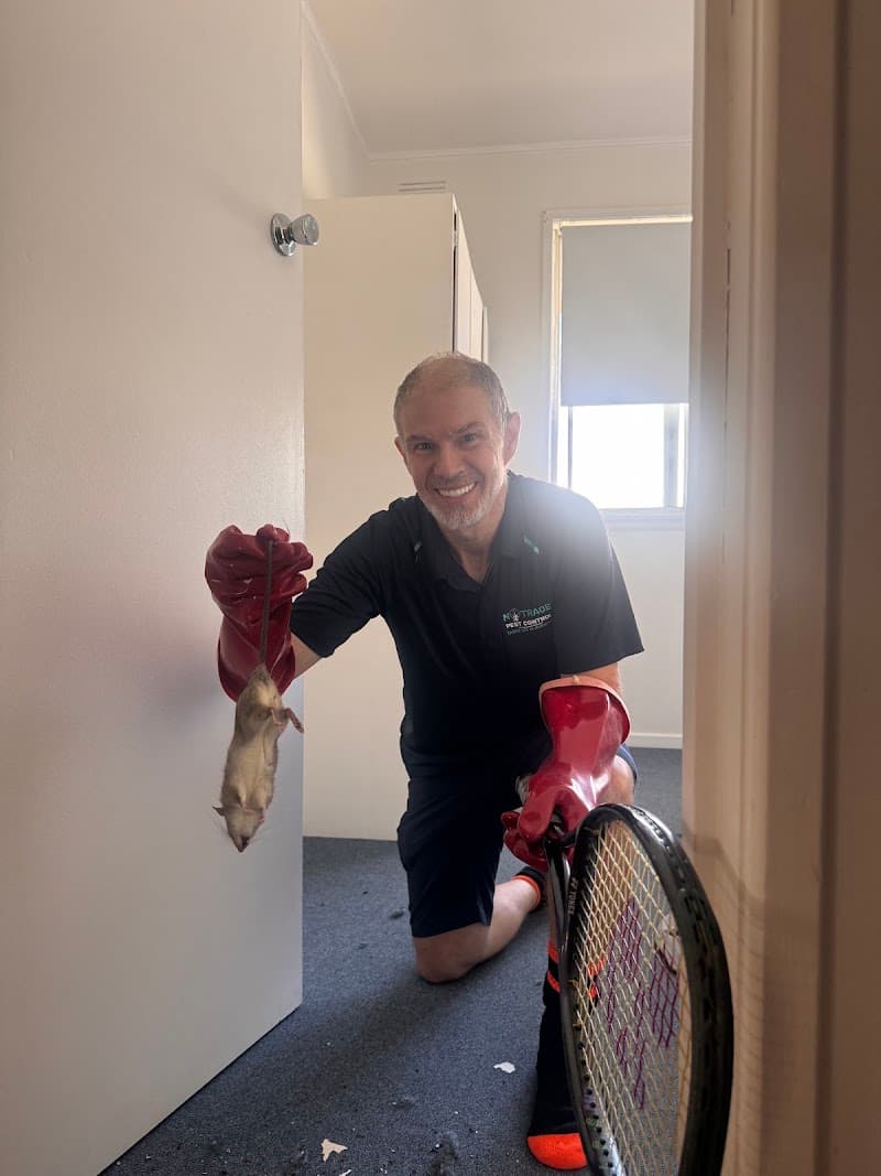NoTrace Pest Control pest control work in Urangan