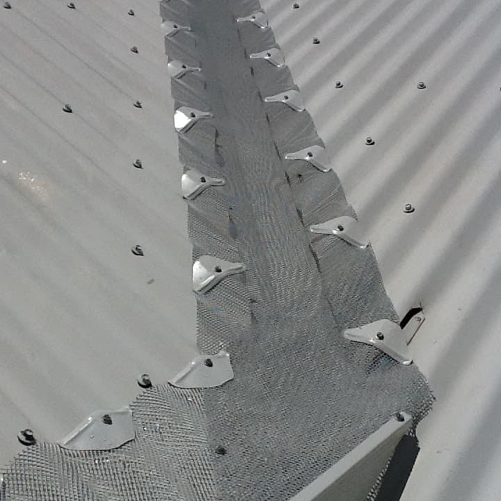NQ Gutter Solutions gutter cleaning work in Bungalow