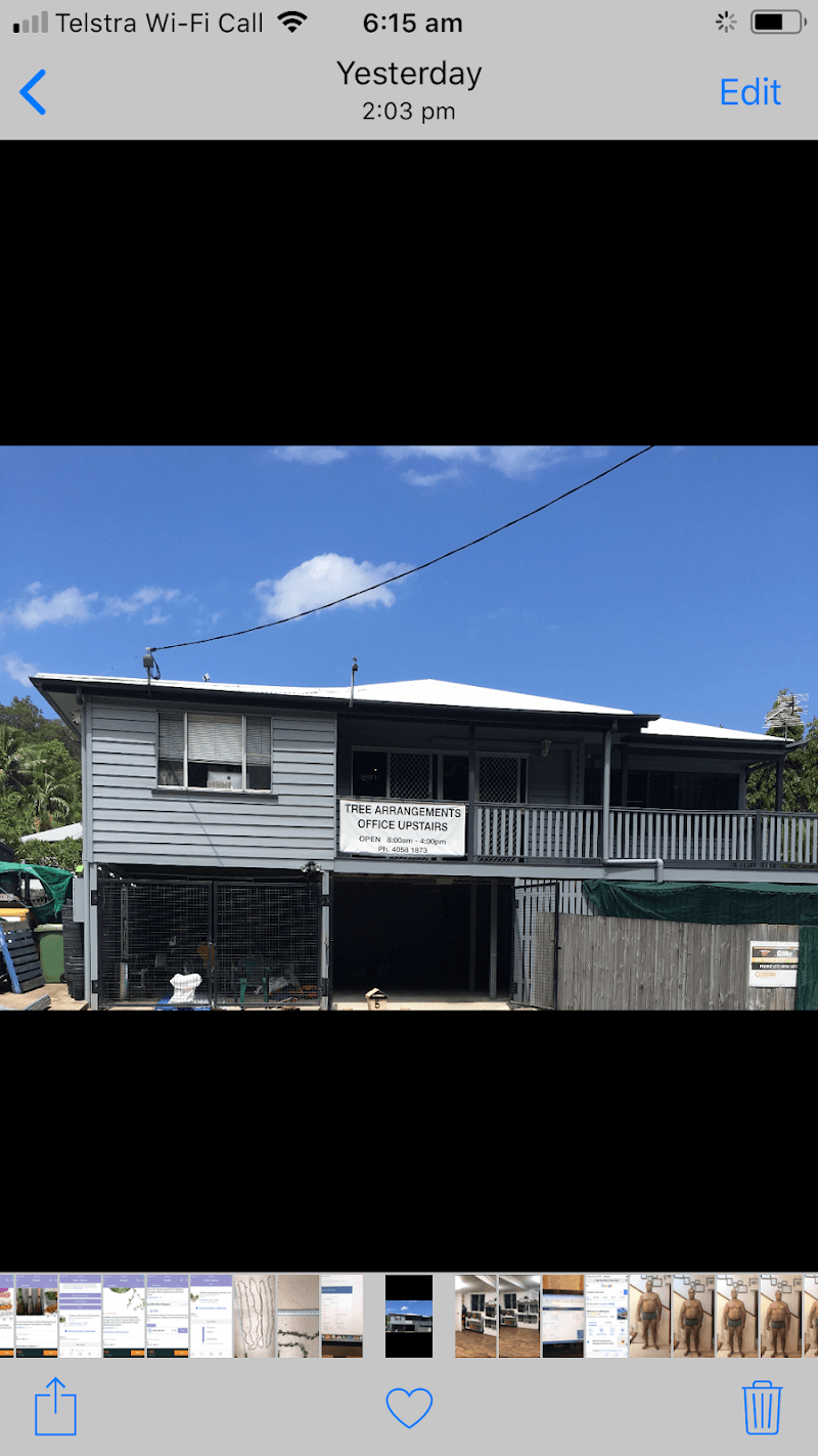 NQ Trees tree services work in Stratford