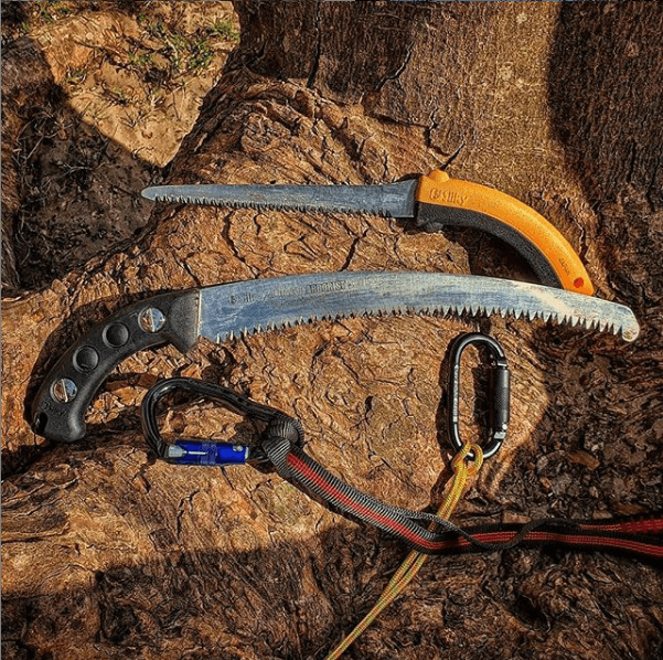 NQ Trees tree services work in Stratford