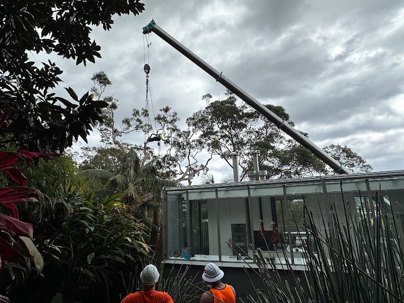 NSW Tree Management tree services work in Gordon