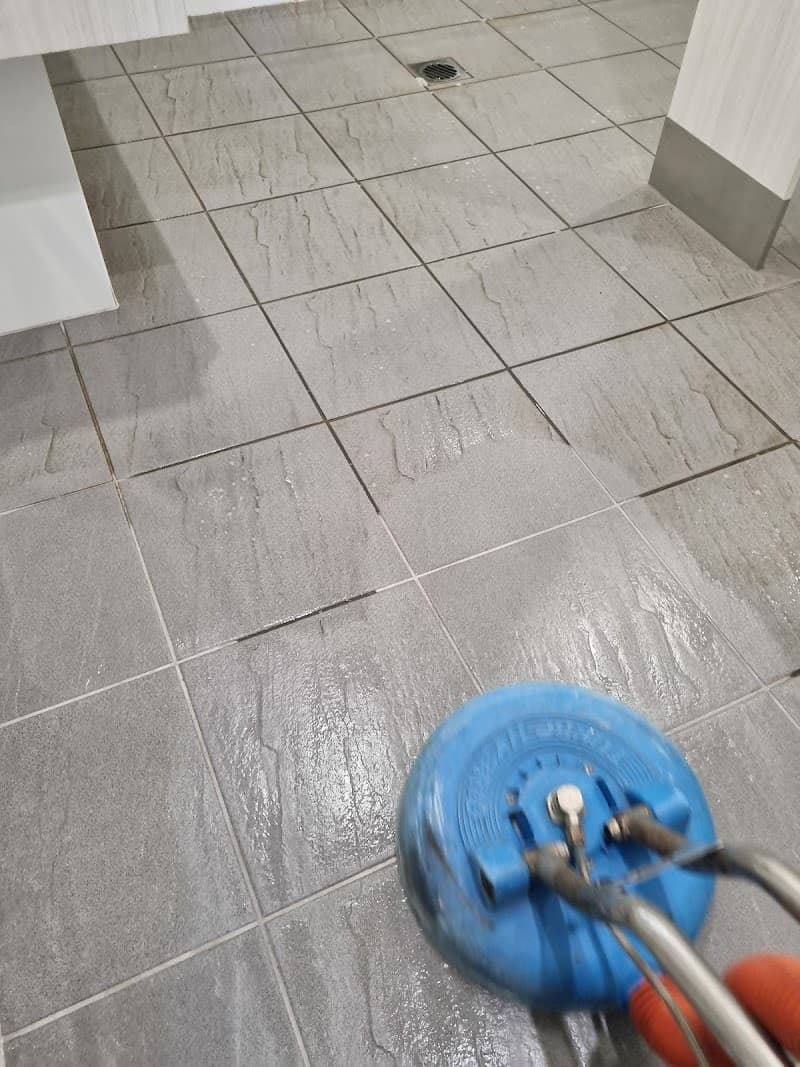 Nu-Look Carpet & Upholstery Cleaning carpet cleaning work in Augustine Heights