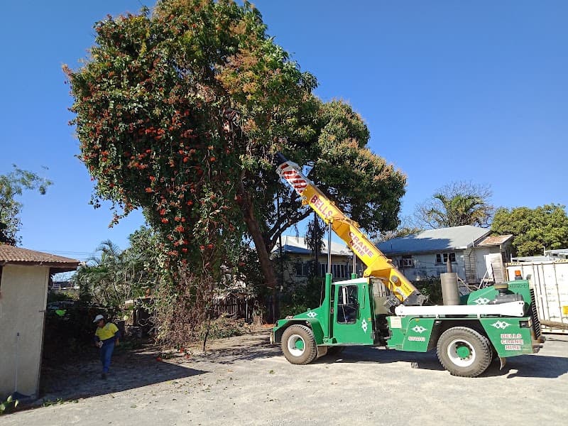Nutbusters Tree Athlete's tree services work in Redlynch