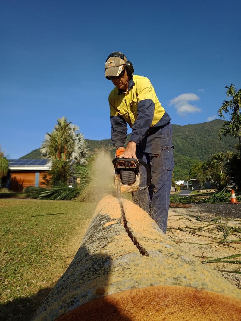 Nutbusters Tree Athlete's tree services work in Redlynch