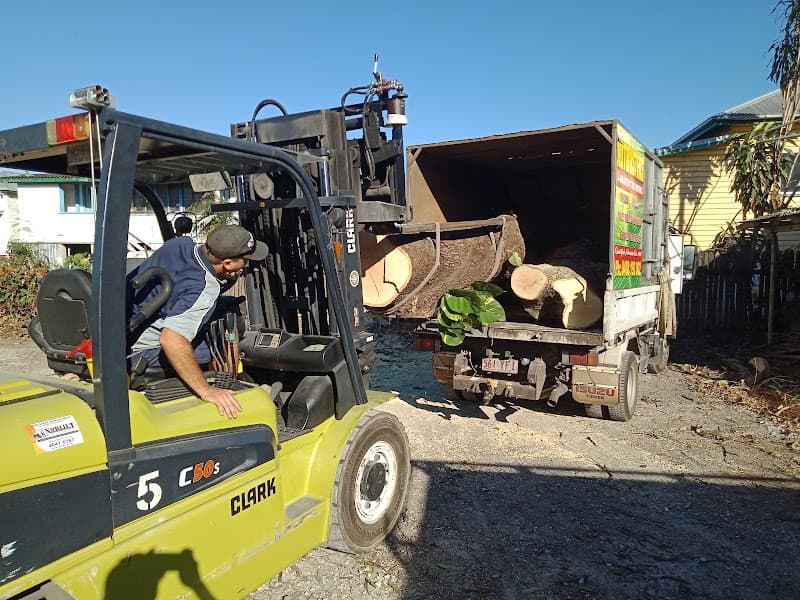 Nutbusters Tree Athlete's tree services work in Redlynch