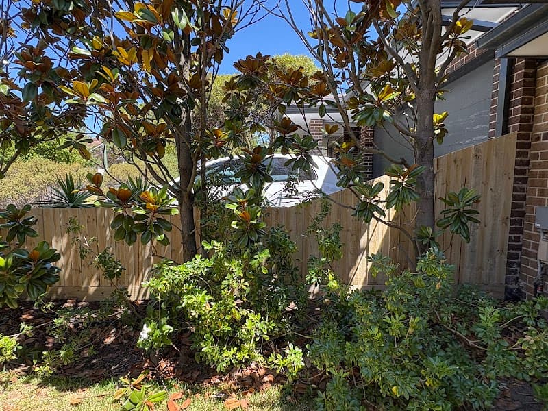 Oasis Fencing fencing work in Frankston North