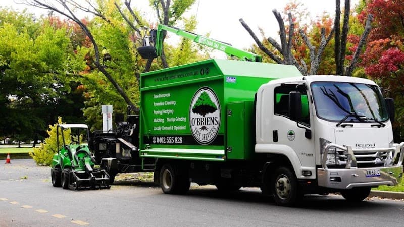 O'Briens Tree Services Canberra tree services work in Curtin