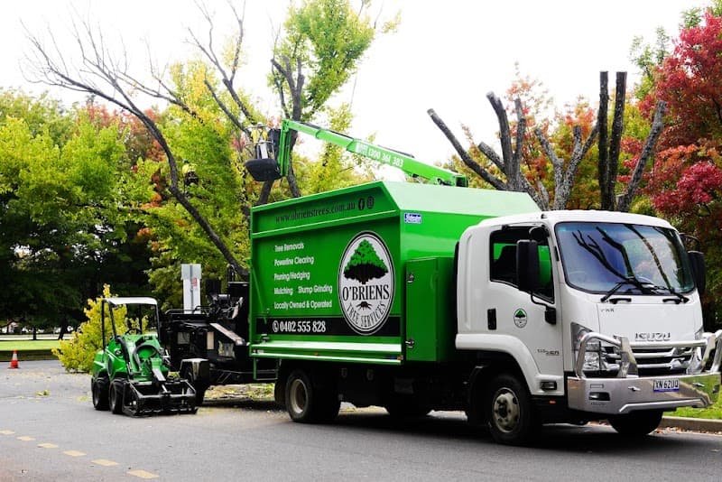 O'Briens Tree Services Canberra tree services work in Curtin
