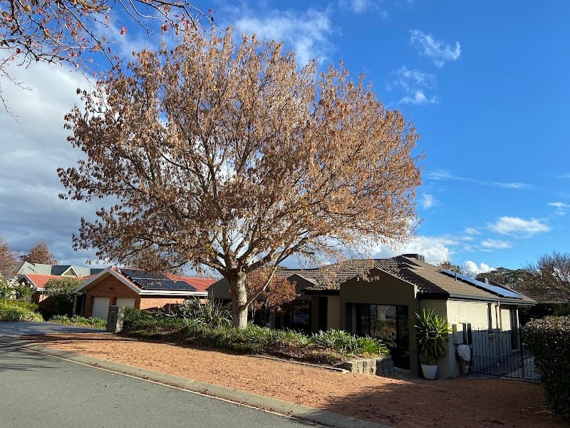 O'Briens Tree Services Canberra tree services work in Curtin