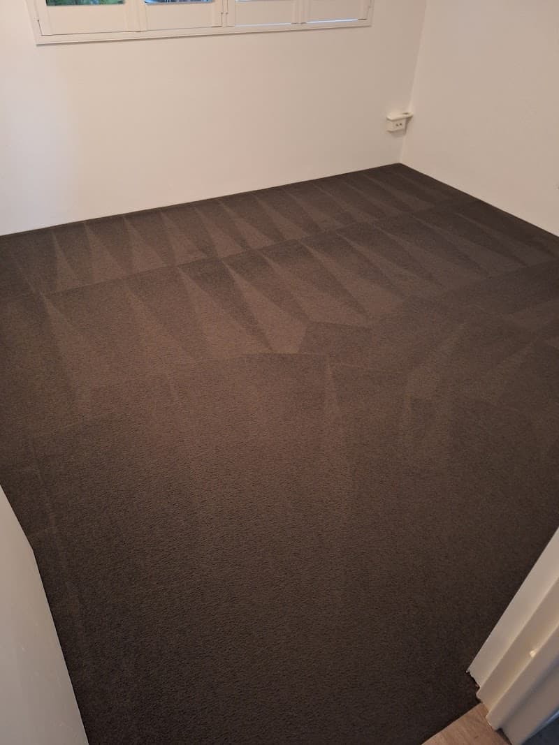 Ocean Pearl Carpet & Upholstery cleaning carpet cleaning work in Peregian Springs