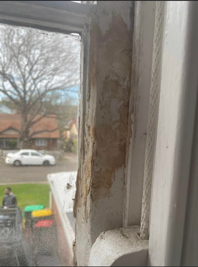 Old School Carpentry carpentry work in Caringbah