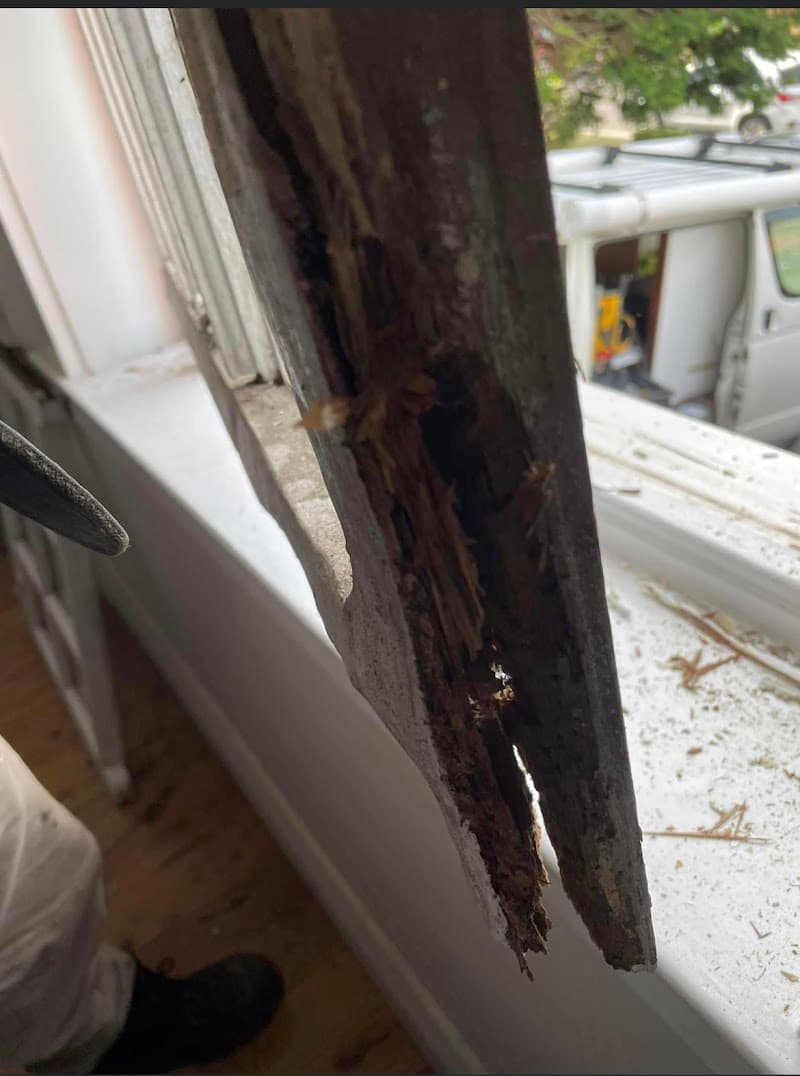 Old School Carpentry carpentry work in Caringbah
