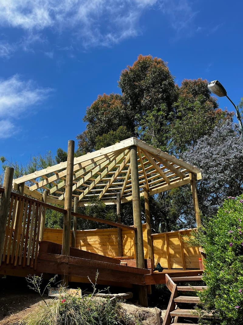 Older Carpentry | Carpenter Geelong carpentry work in North Geelong