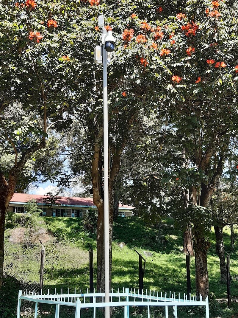 Olins Technologies security & cctv work in Redbank Plains