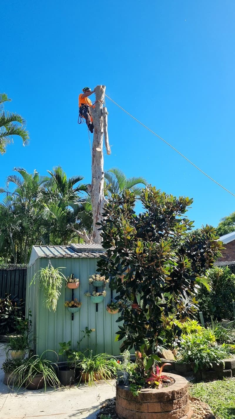 Olivers Tree Experts - Tree Removal Redlands tree services work in Thornlands