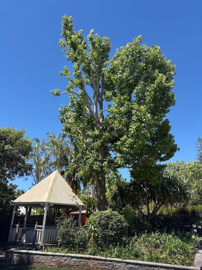 Olivers Tree Experts - Tree Removal Redlands tree services work in Thornlands