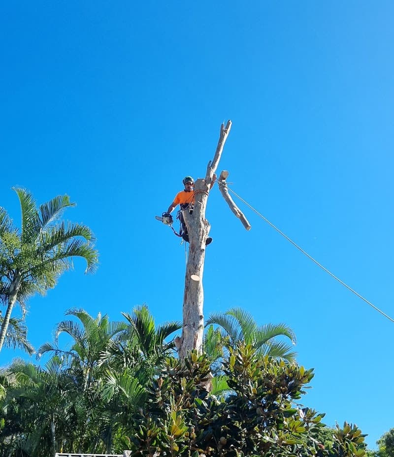 Olivers Tree Experts - Tree Removal Redlands tree services work in Thornlands