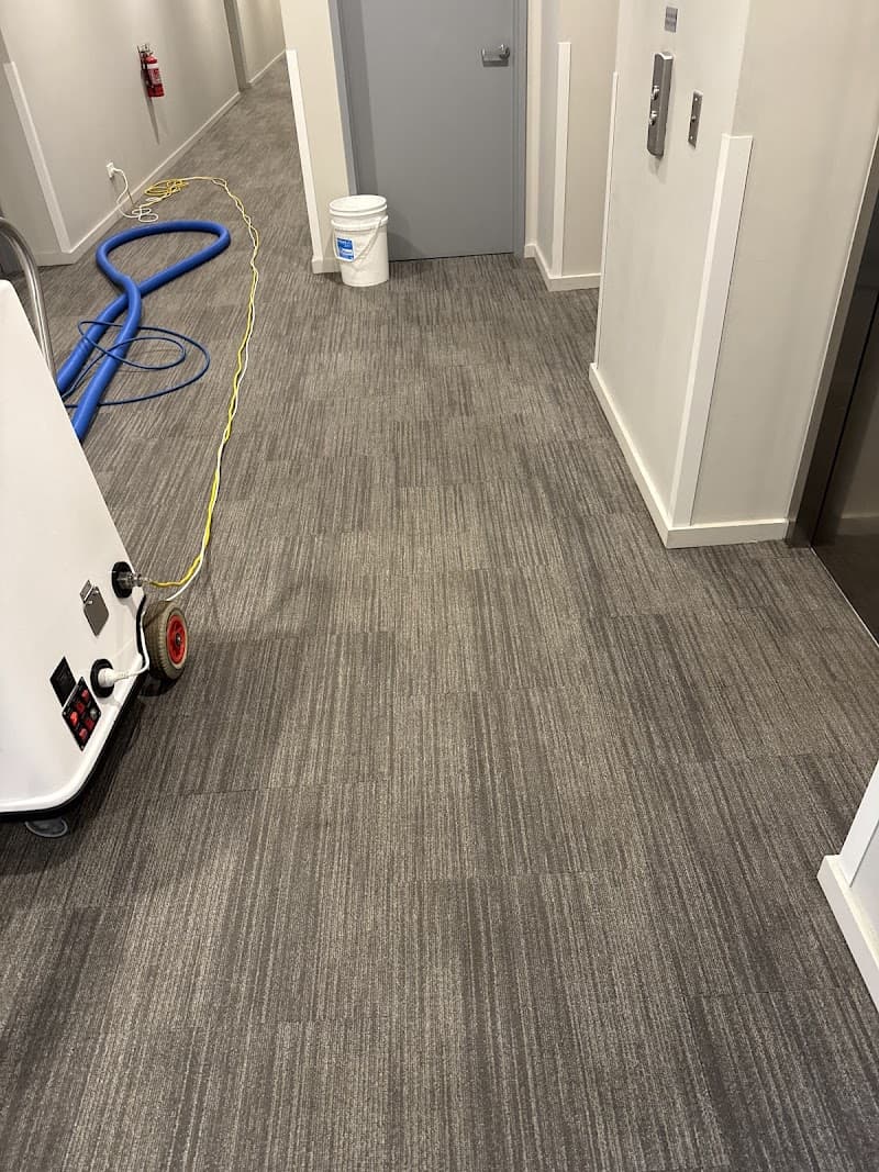 Omega Carpet Cleaning Melbourne carpet cleaning work in Melbourne